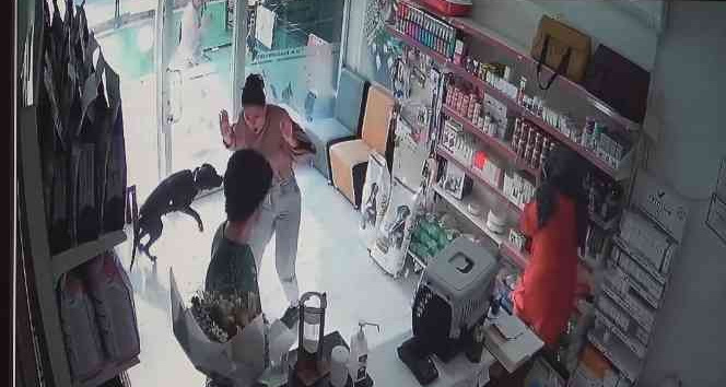 Veterinerdeki görevlilere kabusu yaşattı: Şişeli ve bıçaklı saldırgan ortalığı birbirine kattı