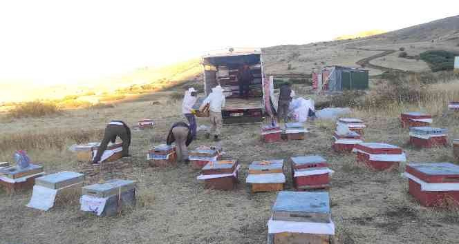 Giresunlu gezgin arıcılar çiçek balı rekoltesinden memnun