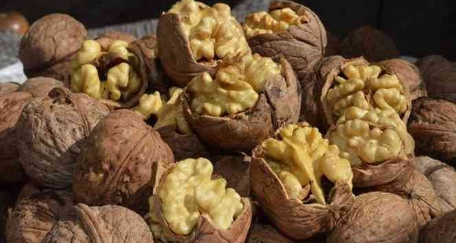 Adilcevaz 25. Ceviz Festivali Ve Kültür Etkinlikleri düzenlenecek