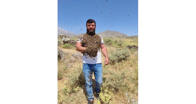 Birçok kişinin yaklaşmaktan korktuğu binlerce arıyı çıplak vücudunda taşıyor