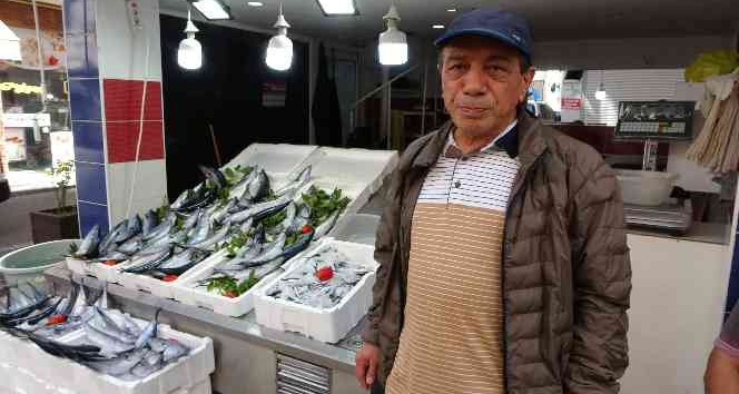Tezgahlarda palamut bolluğu