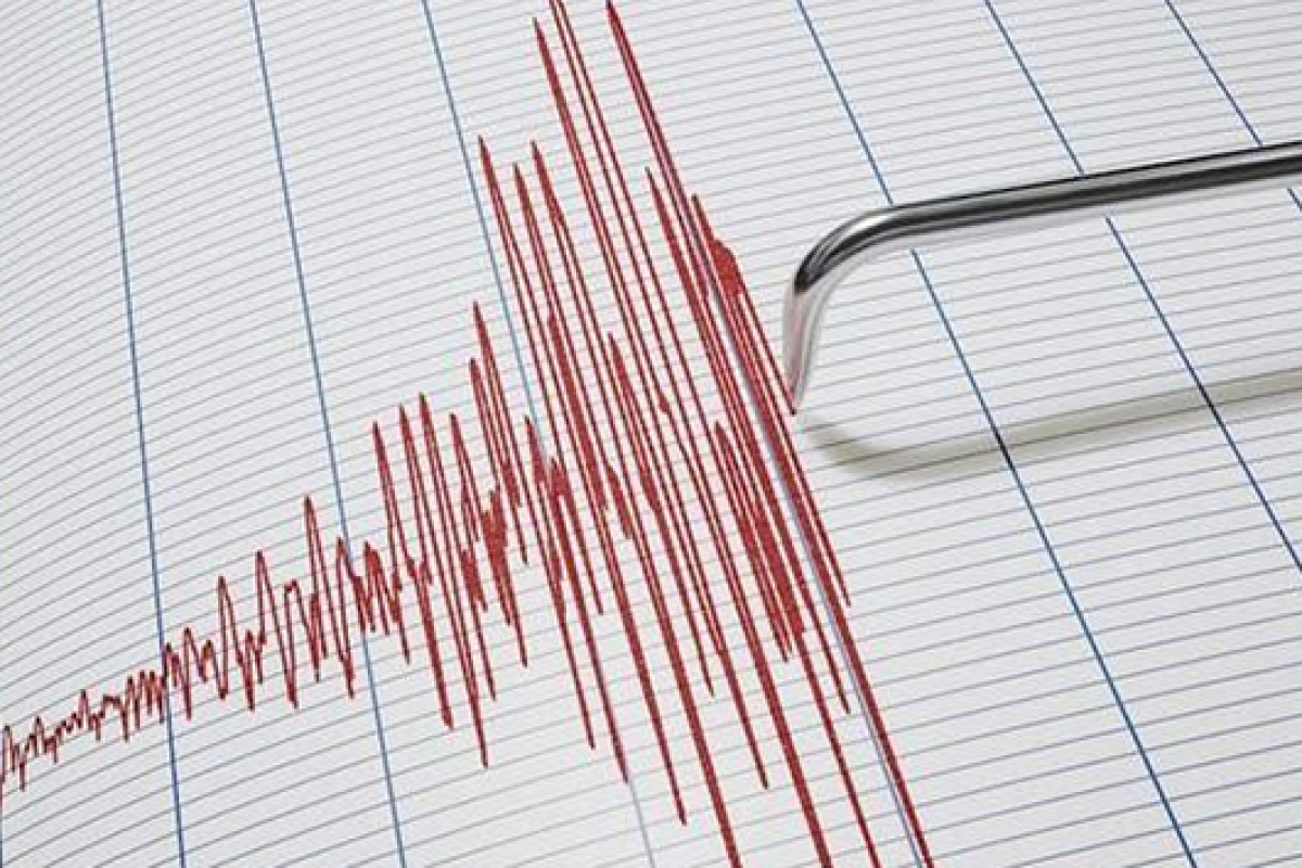 Muğla Köyceğiz&#039;de 4.8 büyüklüğünde deprem!