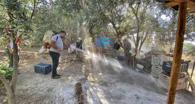 Kadirli’de haşereyle mücadele