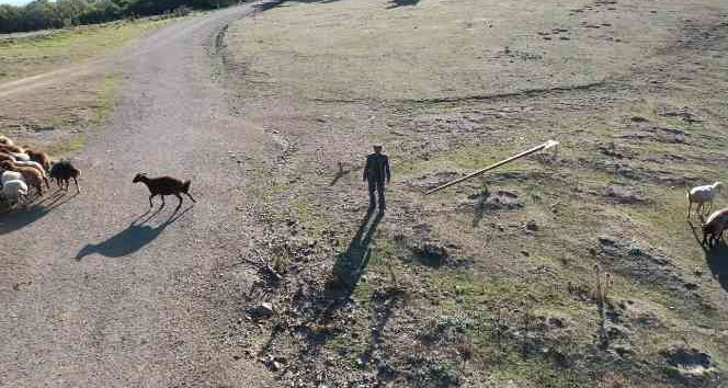 Çobanın dron ile imtihanı