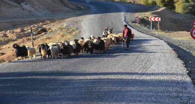 Muş’taki göçerler sıcak bölgelere göç etmeye başladı