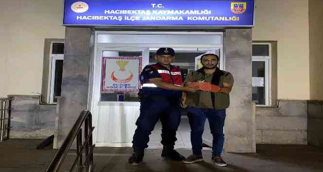 Yaralı atmacaya Jandarma sahip çıktı