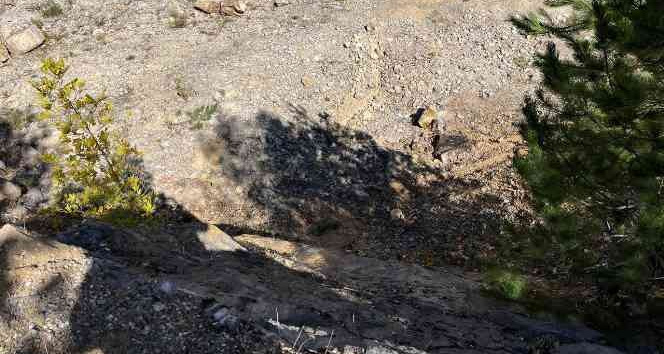 Çan’da traktör devrildi, 1 kişi öldü 2 kişi ağır yaralandı