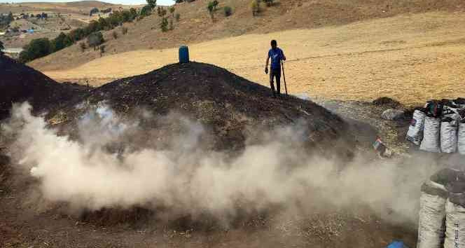 Mevsimlik işçilerin zorlu mangal kömürü mesaisi sürüyor