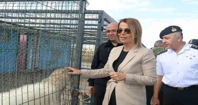 Vali Becel, belediyeye girmeye çalışan koçu protokol üyelerine “işgalci” diye tanıttı