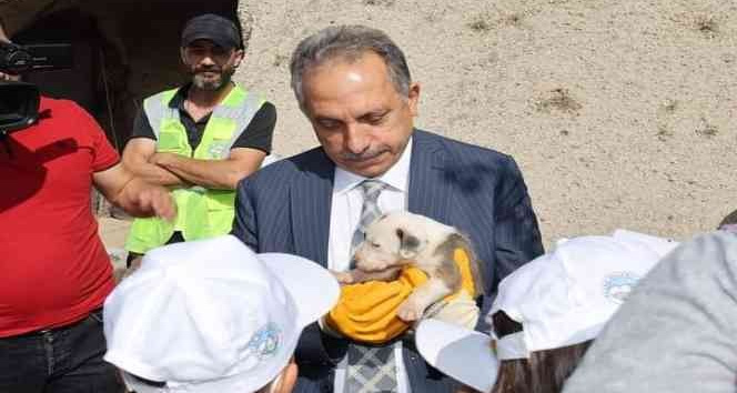 Hayvanları Koruma Günü’nde ‘hayvan mezarlığı’ müjdesi