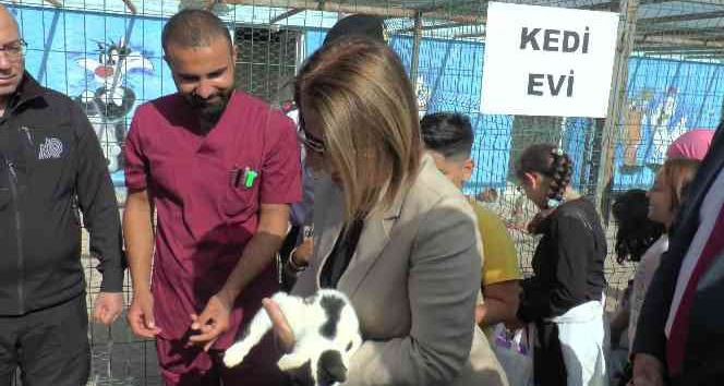 Nevşehir Valisi ilk defa kediye dokundu