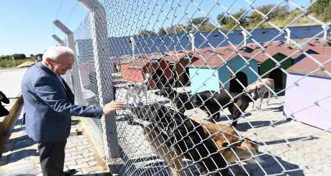 Başkan Yılmaz’dan hayvan barınağındaki ’canları sahiplenin’ çağrısı