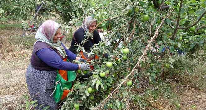 İşsizliği bitiren bu köy, il ve ilçelerden göç alıyor