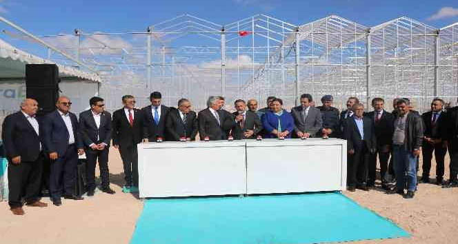 Bozkır topraklarına 50 milyon dolarlık ’domates’ serası