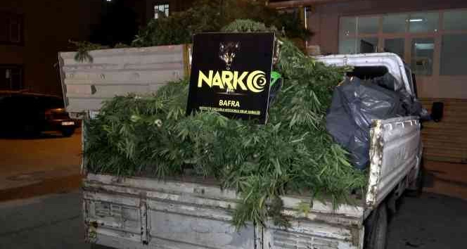 Bafra’da 1 ton 200 kilo Hint keneviri ve 300 kilo kubar esrar ele geçirildi