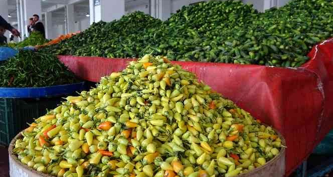 Turşuluklar pazar tezgahlarını süslüyor