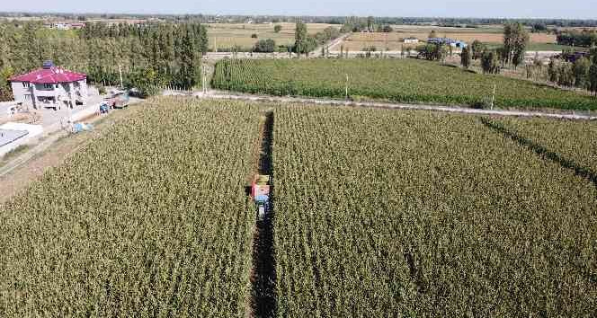 Iğdır’da silajlık mısır hasadı havadan görüntülendi