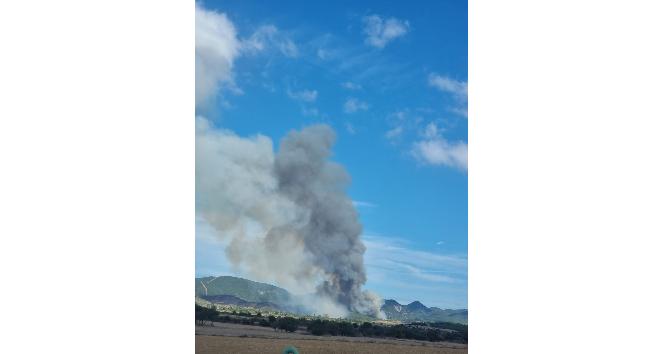 Gelibolu’da orman yangını
