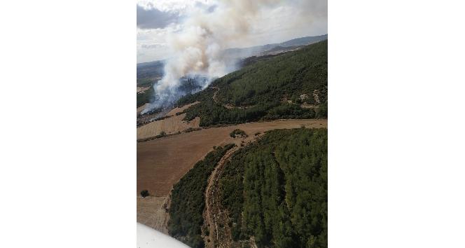 Gelibolu’daki orman yangını kontrol altına alındı