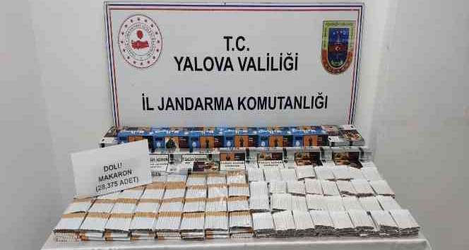 Yalova’da jandarmadan kaçak sigara operasyonu