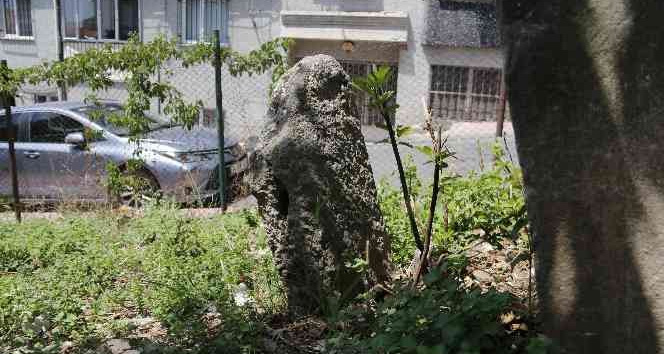İstanbul’un bilinmeyen toplu cellat mezarlığı