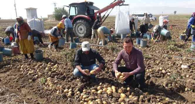 Niğde’de patates hasadı başladı