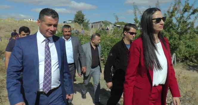 Nevşehir’de badem hasadı yapıldı