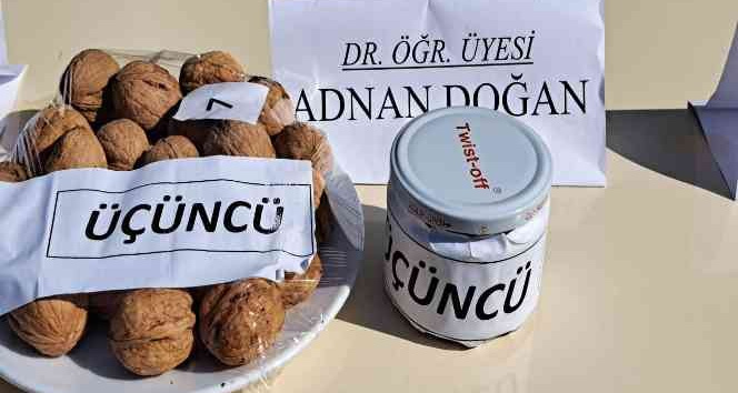 Adilcevaz’da 25. Ceviz Festivali ve Kültür Etkinlikleri düzenlendi