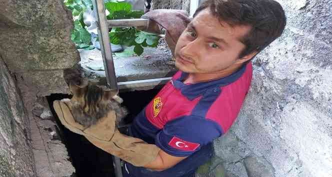 Su kuyusuna düşen kediyi itfaiye kurtardı