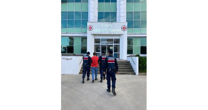 Kaçak uyuşturucu tacirini jandarma yakaladı