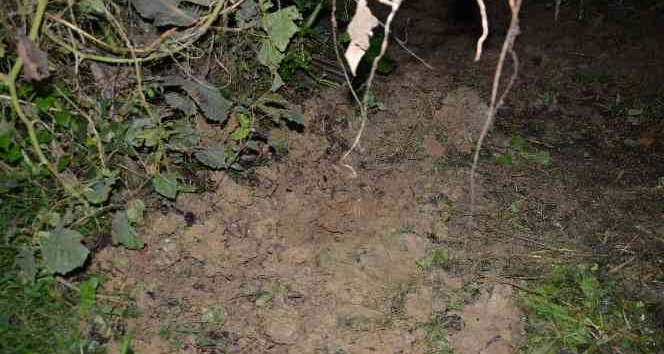 Ölen bebeği 23 gün çatıda saklamış, sonrasında tarlaya gömmüş
