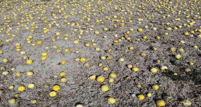 Süt ile kavrulanı daha lezzetli