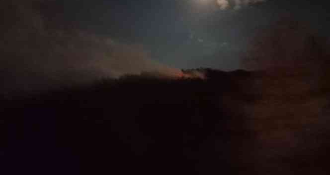 Orman yangını büyümeden söndürüldü