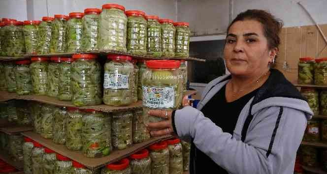 2 yıl önce ev kadınıydılar, şimdi ihracat yapıp ülke ekonomisine katkı sağlıyorlar