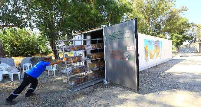 ‘Temiz Petek’ projesi devam ediyor