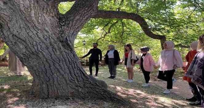 Asırlık ağaçlar haritalandırılıyor