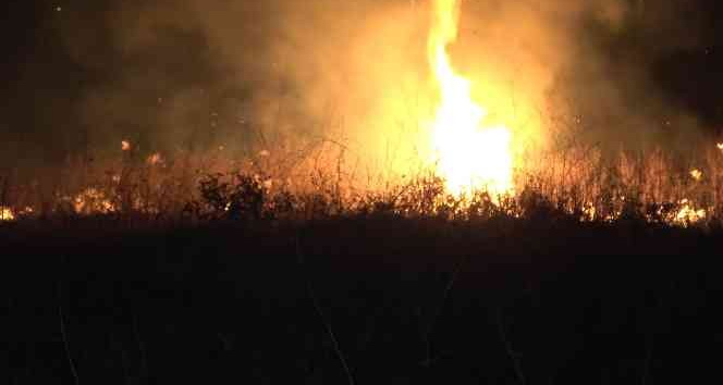 Kırıkkale’de anız yangını