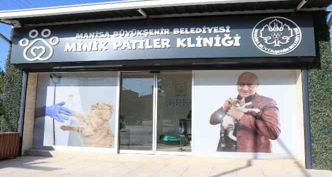 Manisa Büyükşehir Belediyesi patili dostların yanında