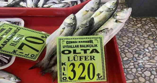 (Özel) Çanakkale’de olta lüferin kilosu 320 liradan tezgahlarda