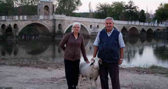 “Evladımız” dedikleri kuzu yaşlı çiftin can dostu oldu