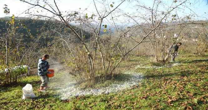 FINVER’e rekor başvuru