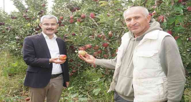Çivril elması Cumhurbaşkanı Erdoğan’a hediye edildi