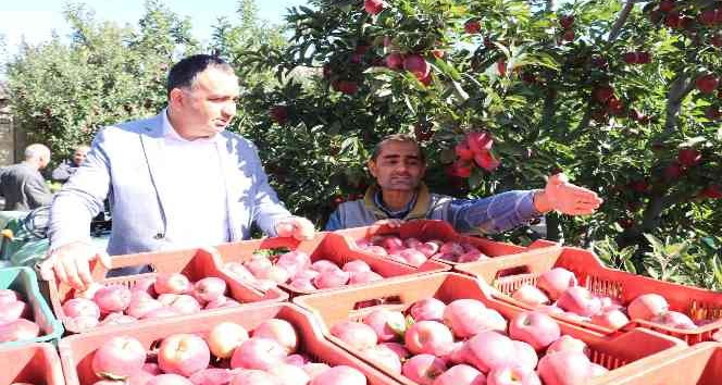 Eğirdir’de 61 bin dekarlık elma bahçesinden 400 bin ton rekolte bekleniyor