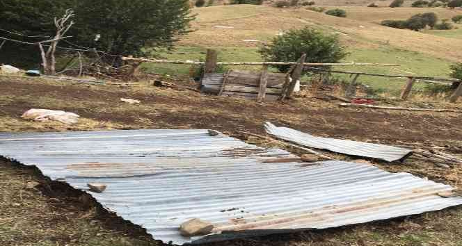 Etkili olan fırtına çatıları uçurdu