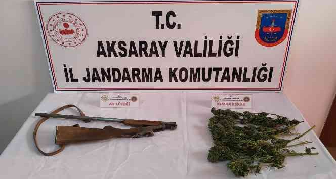 Jandarma odunlukta esrar ve tüfek ele geçirdi