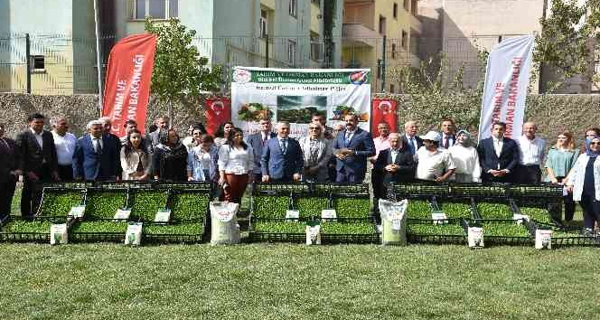 Şırnak’ta seralara kadın eli değdi