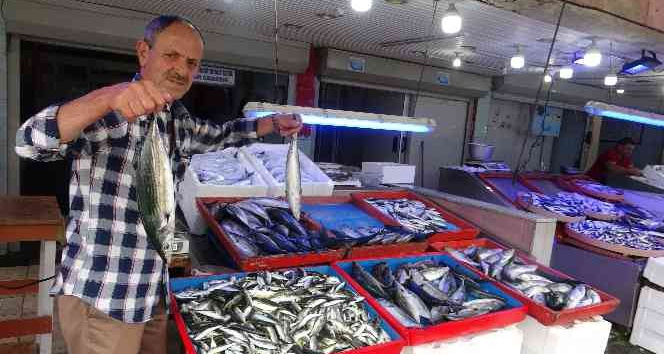 Giresunlu balıkçılar ucuz balık için palamut göçünü bekliyor
