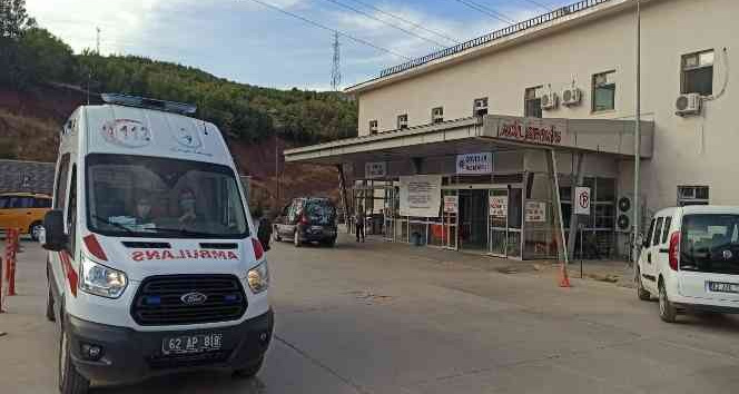 Tunceli’de arıların soktuğu adam hayatını kaybetti