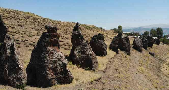 Asırlık ’Nemrut Develeri’ yok olma tehlikesiyle karşı karşıya