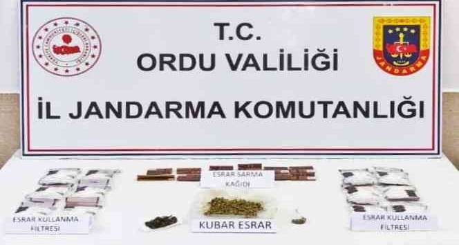 Ordu’da uyuşturucu operasyonunda 1 kişi tutuklandı